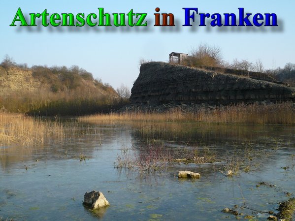 Copyright AiS Frederik Drenkhard Bild zum Eintrag (41931-160)