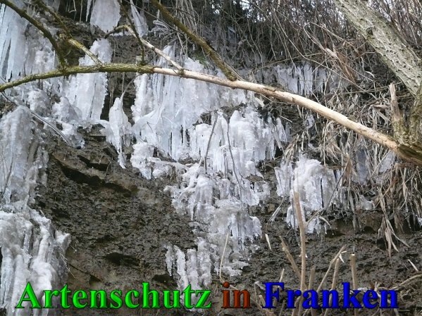 Copyright AiS Frederik Drenkhard Bild zum Eintrag (41933-160)