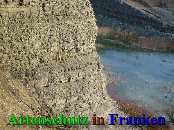 Copyright AiS Frederik Drenkhard Bild zum Eintrag (41934-160)