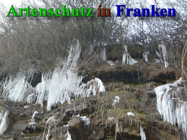 Copyright AiS Frederik Drenkhard Bild zum Eintrag (41935-160)