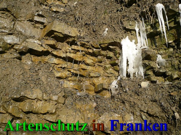 Copyright AiS Frederik Drenkhard Bild zum Eintrag (41936-160)