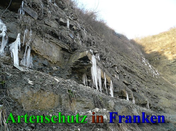 Copyright AiS Frederik Drenkhard Bild zum Eintrag (41937-160)