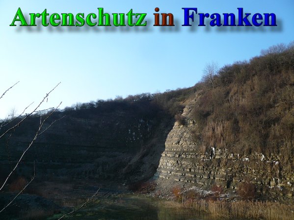 Copyright AiS Frederik Drenkhard Bild zum Eintrag (41938-160)