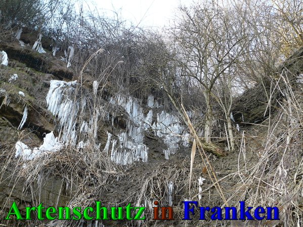 Copyright AiS Frederik Drenkhard Bild zum Eintrag (41939-160)