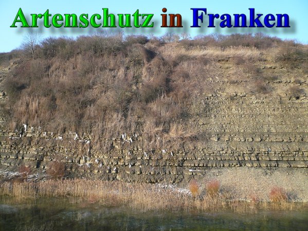 Copyright AiS Frederik Drenkhard Bild zum Eintrag (41940-160)
