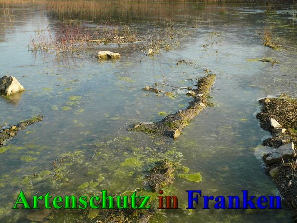 Copyright AiS Frederik Drenkhard Bild zum Eintrag (41941-160)