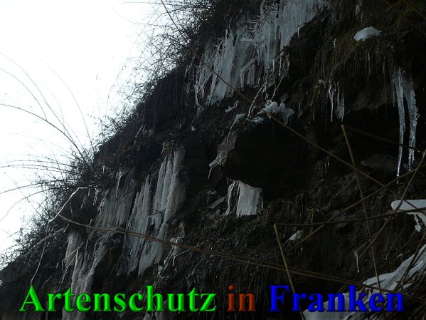 Copyright AiS Frederik Drenkhard Bild zum Eintrag (41942-160)