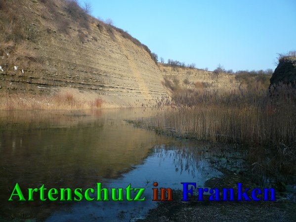 Copyright AiS Frederik Drenkhard Bild zum Eintrag (41945-160)