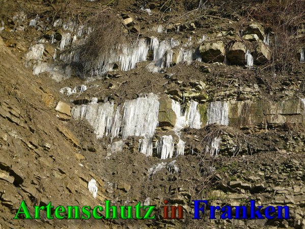 Copyright AiS Frederik Drenkhard Bild zum Eintrag (41946-160)