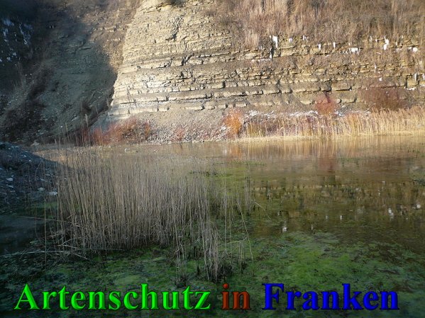 Copyright AiS Frederik Drenkhard Bild zum Eintrag (41947-160)