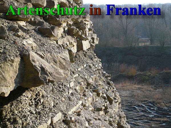 Copyright AiS Frederik Drenkhard Bild zum Eintrag (41948-160)