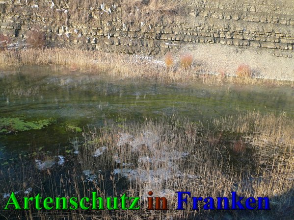 Copyright AiS Frederik Drenkhard Bild zum Eintrag (41950-160)