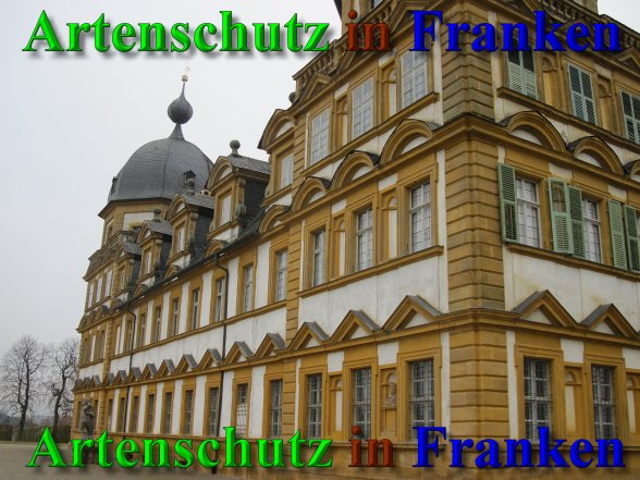Bild zum Eintrag (42188-160)