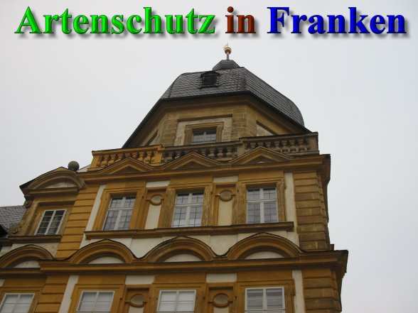 Bild zum Eintrag (42189-160)