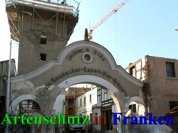 Copyright AiS- Albert Meier Bild zum Eintrag (42219-160)