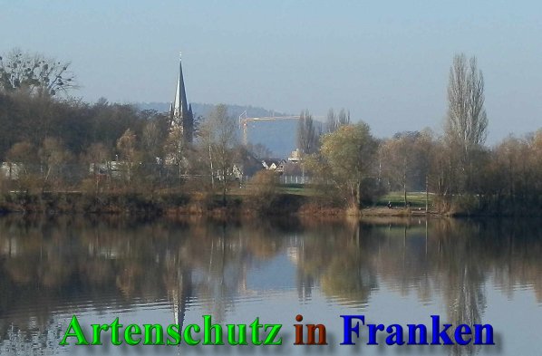 Copyright AiS- Albert Meier Bild zum Eintrag (42253-160)