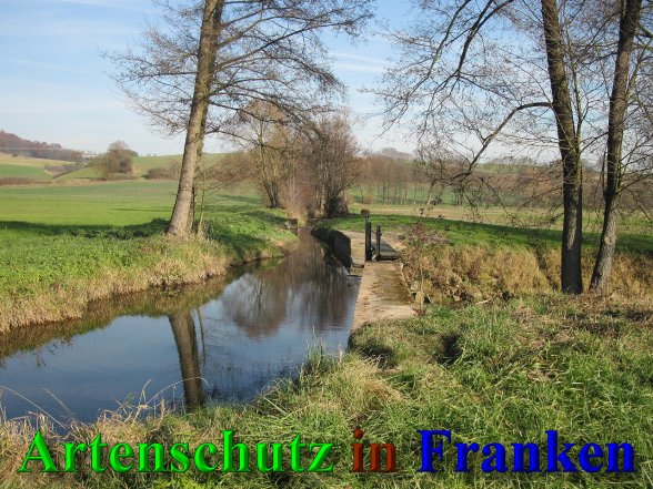 Bild zum Eintrag (42380-160)