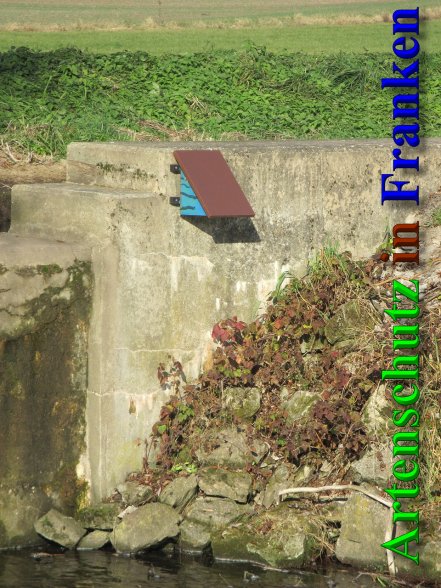 Bild zum Eintrag (42384-160)