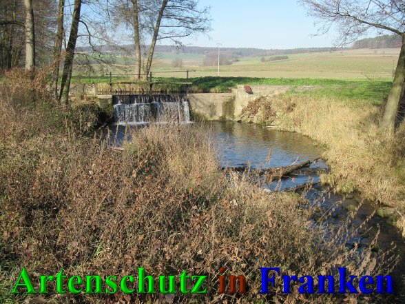 Bild zum Eintrag (42386-160)