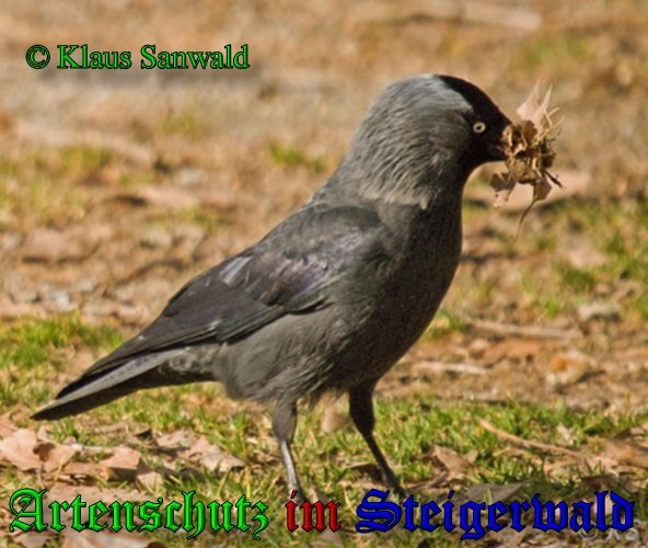 Bild zum Eintrag (42433-160)