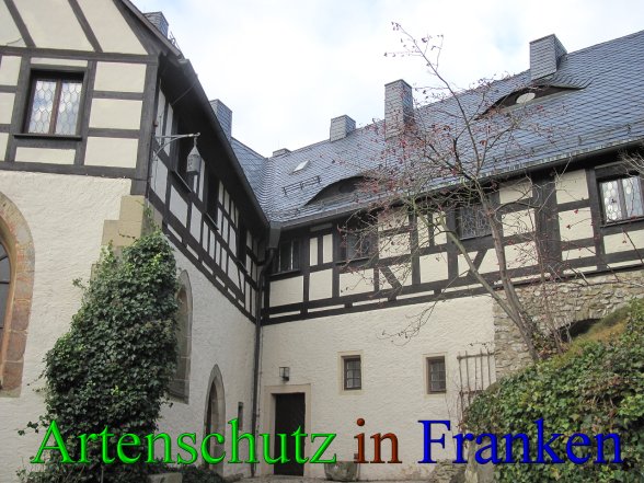 Bild zum Eintrag (42781-160)