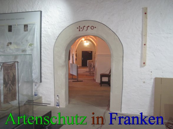 Bild zum Eintrag (42782-160)