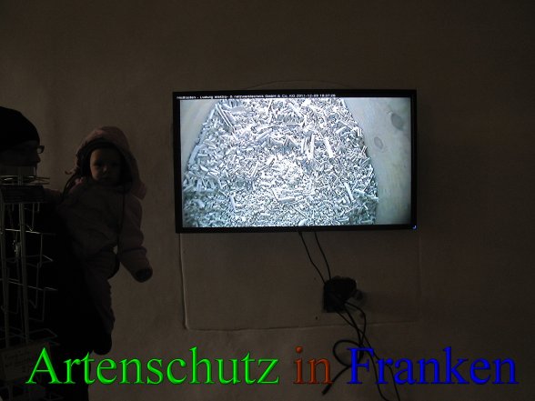 Bild zum Eintrag (42821-160)