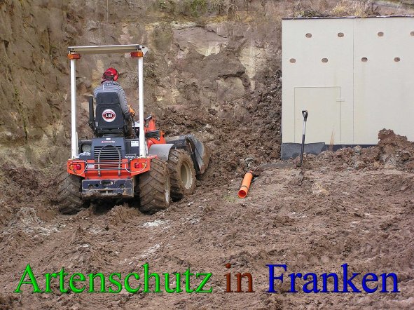Bild zum Eintrag (42830-160)