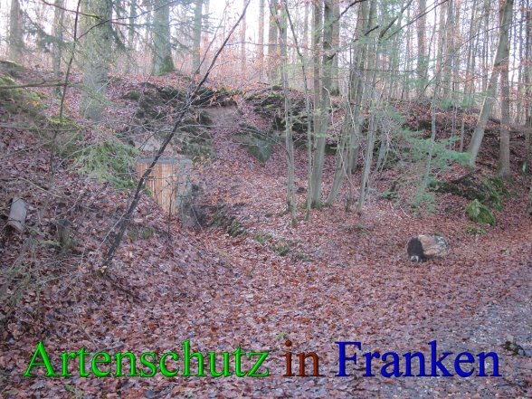 Bild zum Eintrag (42860-160)