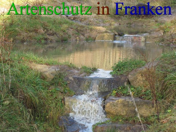 Bild zum Eintrag (42892-160)