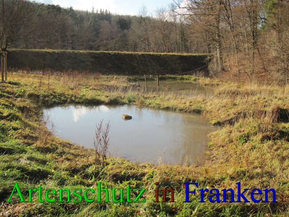 Bild zum Eintrag (42896-160)