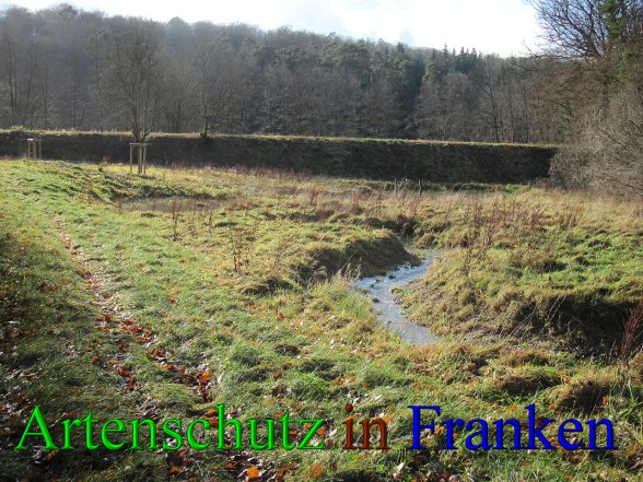 Bild zum Eintrag (42897-160)