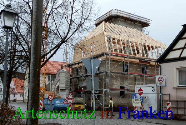 Copyright AiS- Albert Meier Bild zum Eintrag (42988-160)