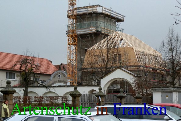 Copyright AiS- Albert Meier Bild zum Eintrag (42989-160)