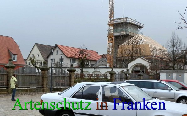 Copyright AiS- Albert Meier Bild zum Eintrag (42990-160)