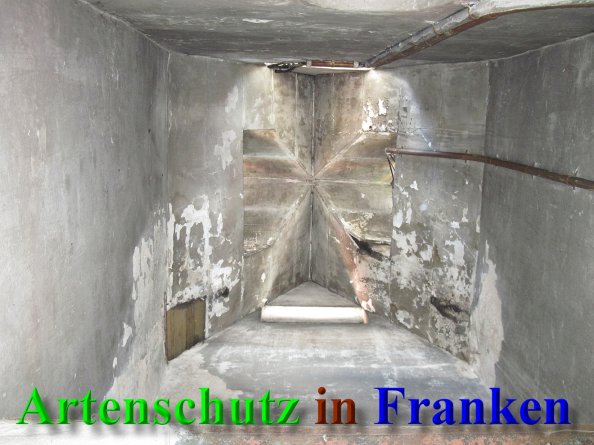 Copyright AiS - Umweltamt Stadt Suhl Bild zum Eintrag (43073-160)
