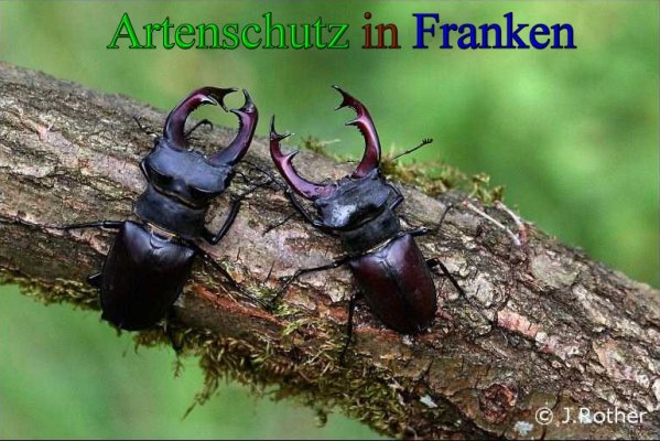 Copyright AiS-Johannes Rother Bild zum Eintrag (43150-160)