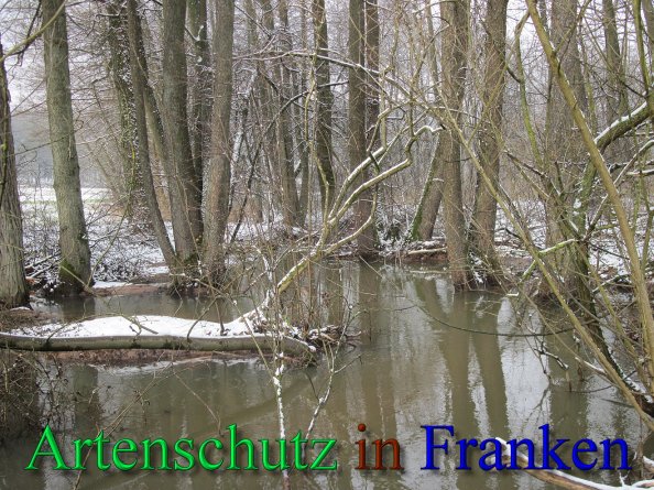 Bild zum Eintrag (43718-160)