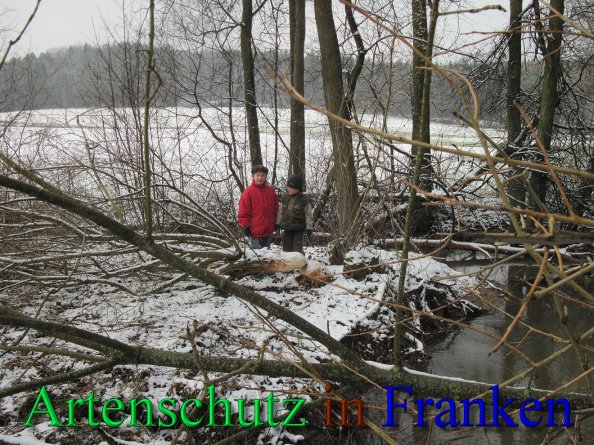 Bild zum Eintrag (43728-160)