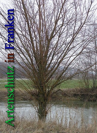Copyright AiS - Kunze Bild zum Eintrag (43773-160)