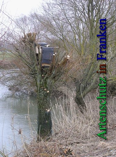 Copyright AiS - Kunze Bild zum Eintrag (43777-160)