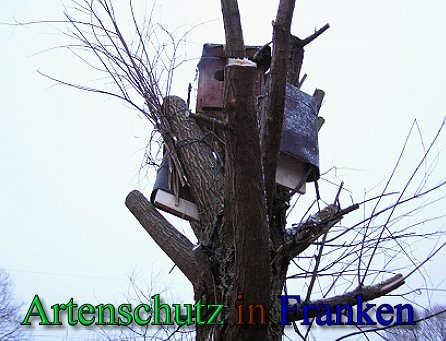 Copyright AiS - Kunze Bild zum Eintrag (43778-160)