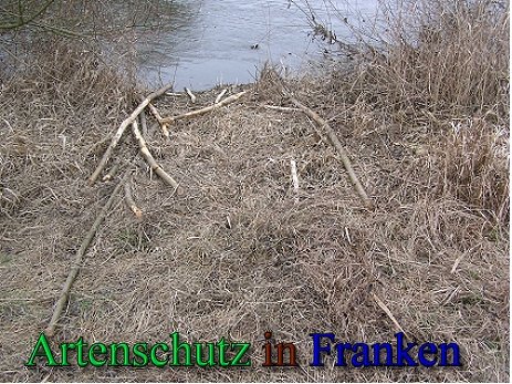 Copyright AiS - Kunze Bild zum Eintrag (43779-160)