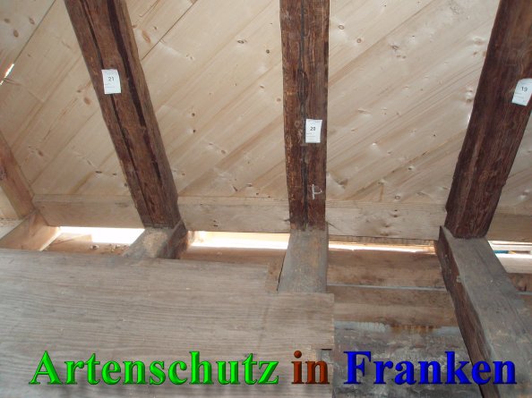 Bild zum Eintrag (44100-160)