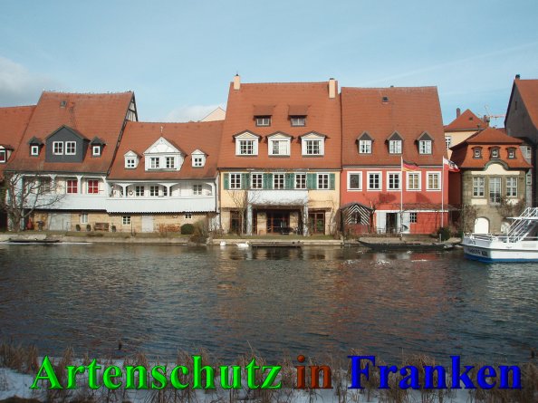 Bild zum Eintrag (44105-160)