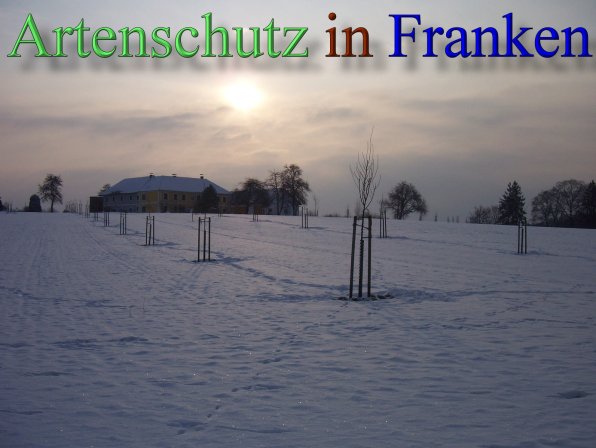 Copyright AiS - Mitterhuber Bild zum Eintrag (44215-160)