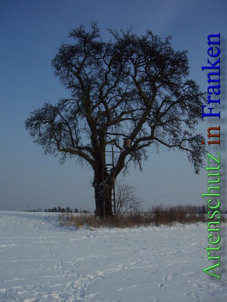 Copyright AiS - Mitterhuber Bild zum Eintrag (44216-160)
