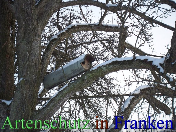 Copyright AiS - Mitterhuber Bild zum Eintrag (44217-160)