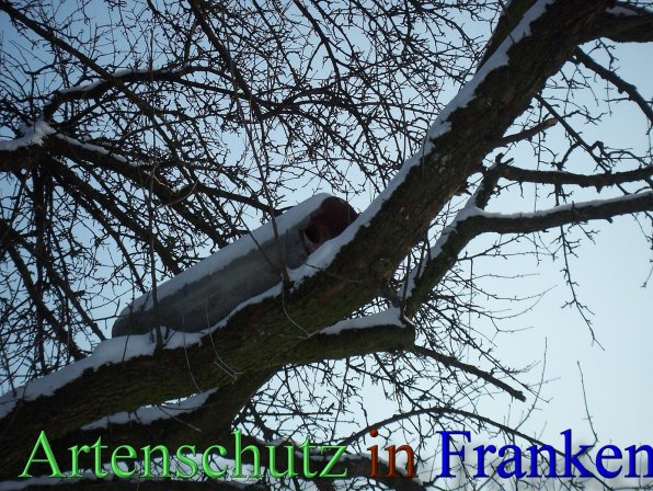 Copyright AiS - Mitterhuber Bild zum Eintrag (44218-160)