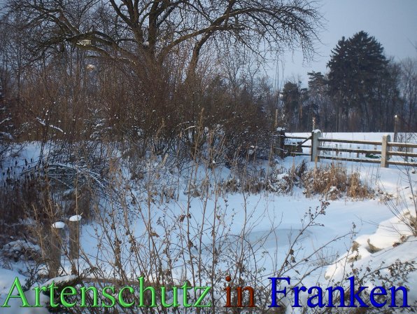 Copyright AiS - Mitterhuber Bild zum Eintrag (44219-160)